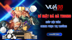 bí mật đá gà Thomo