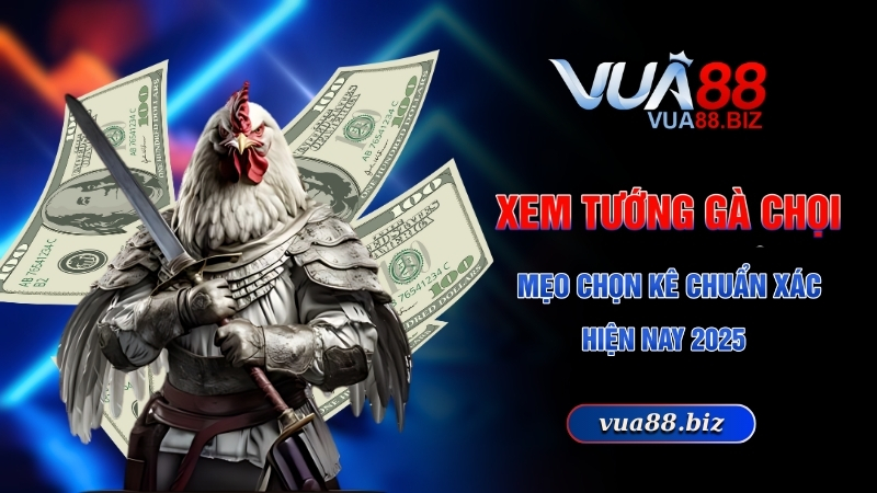 xem tướng gà chọi